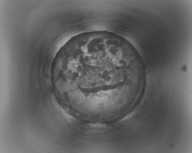 X0000110951023200907022152