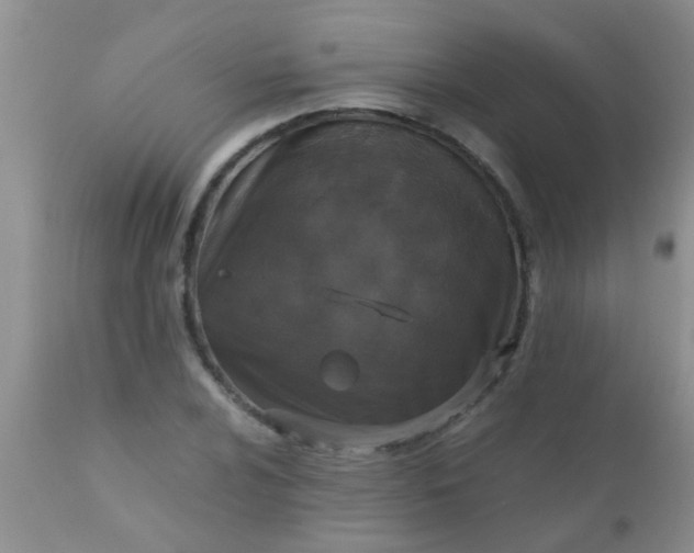 X0000110951024200907022152