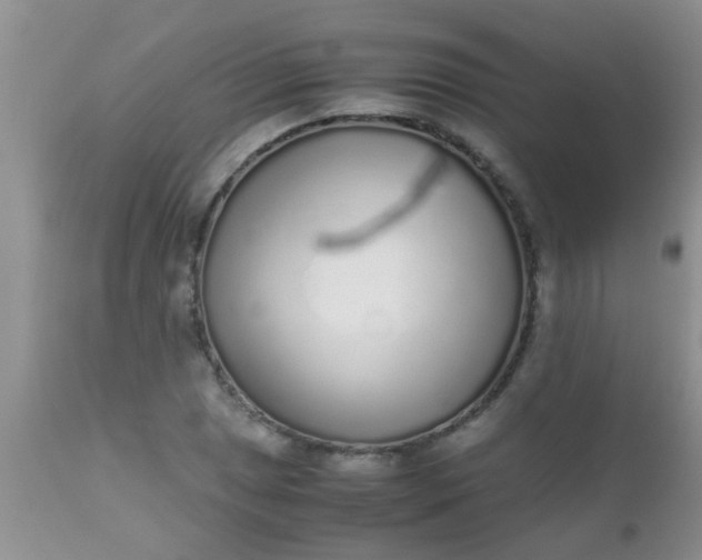 X0000110951025200907022152