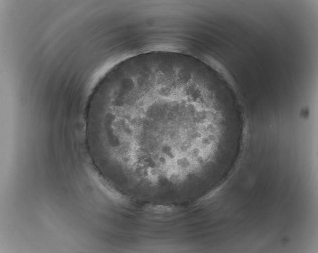 X0000110951027200907022152