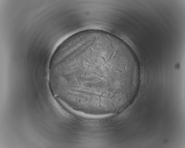 X0000110951028200907022152