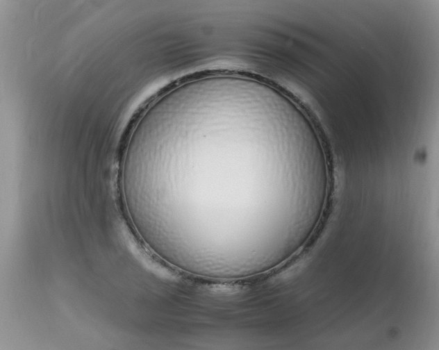 X0000110951029200907022152