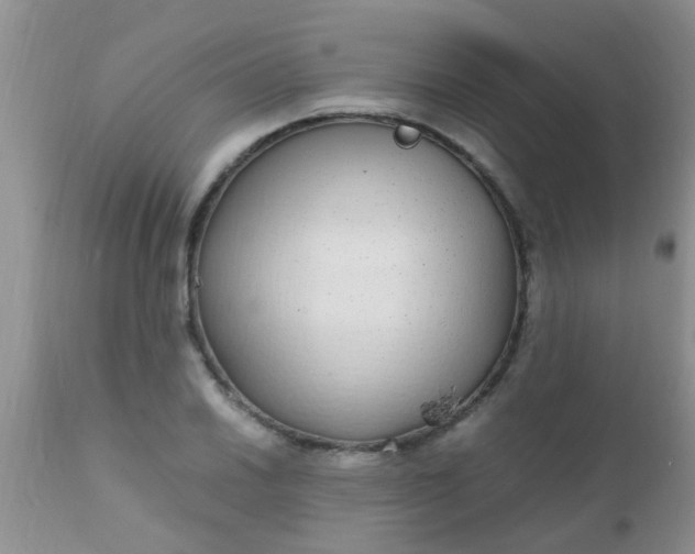 X0000110951030200907022152