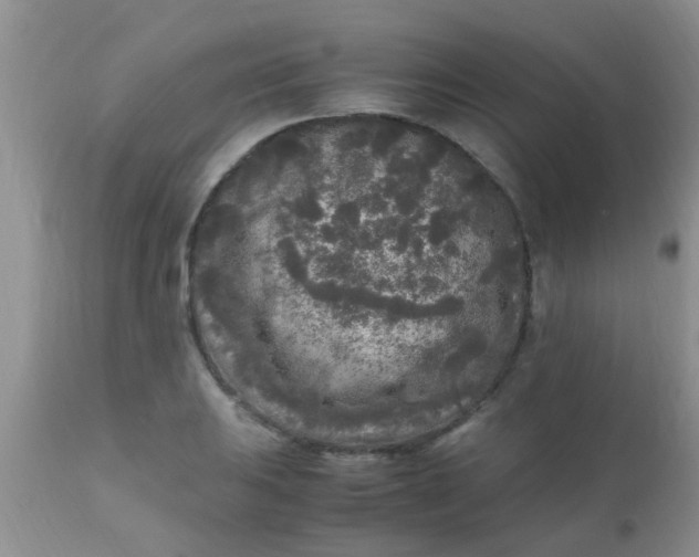 X0000110951031200907022152