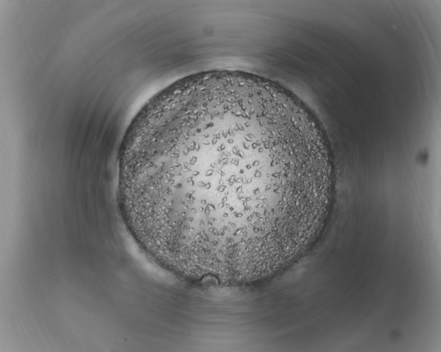 X0000110951032200907022152