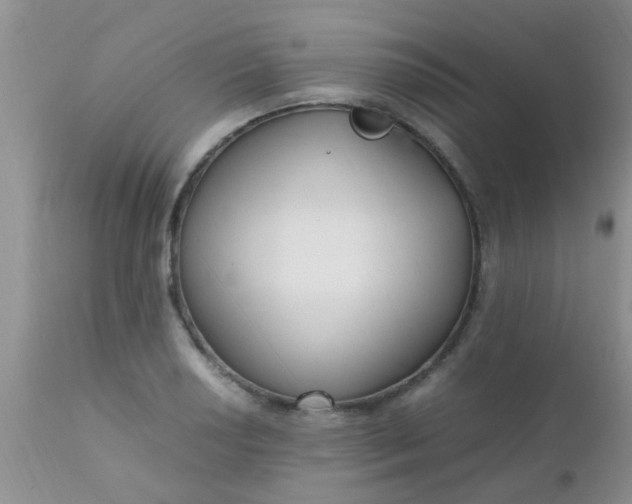 X0000110951034200907022152