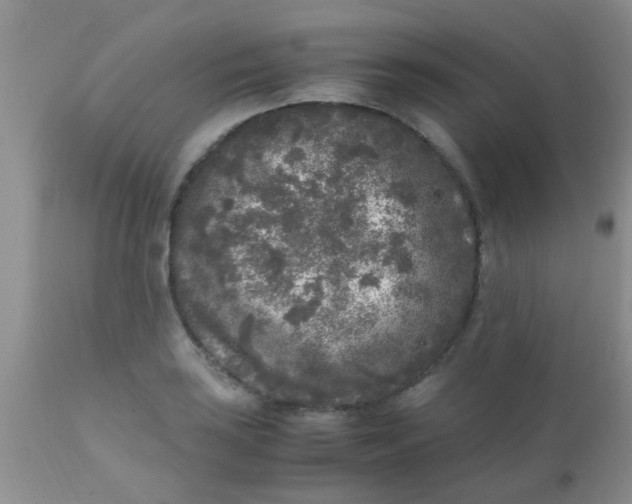 X0000110951035200907022152