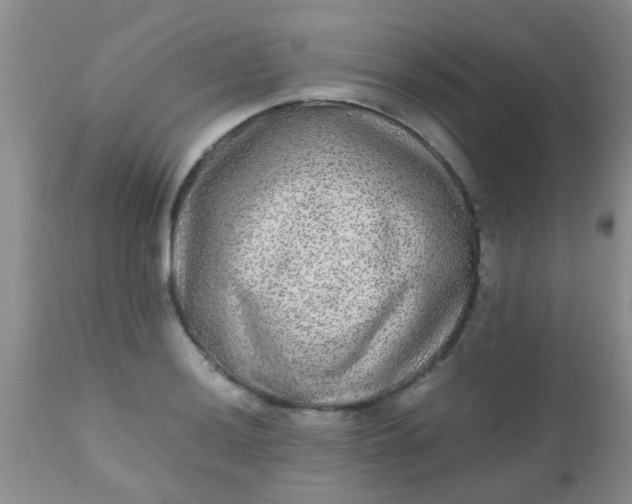 X0000110951036200907022152