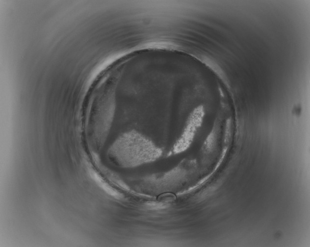 X0000110951037200907022152