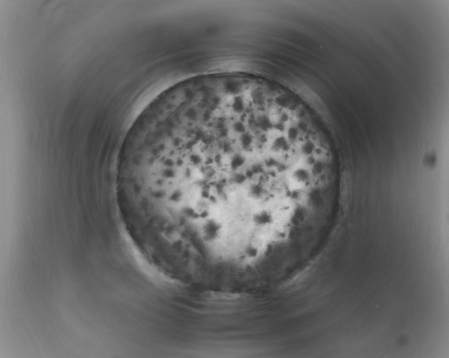 X0000110951039200907022152