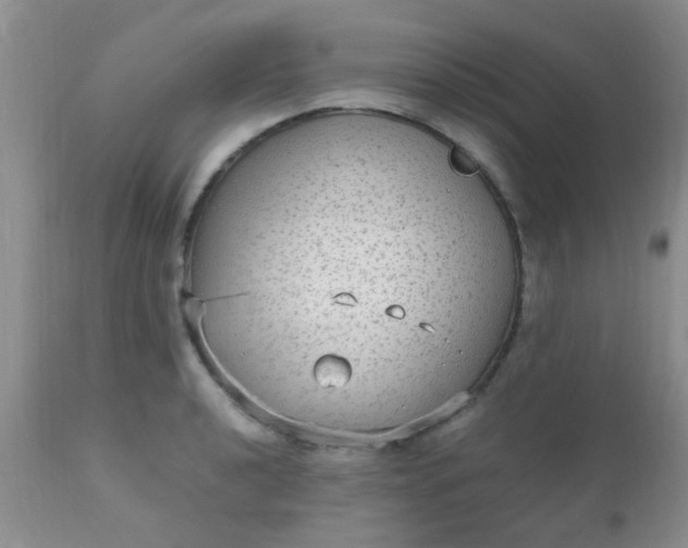 X0000110951040200907022152