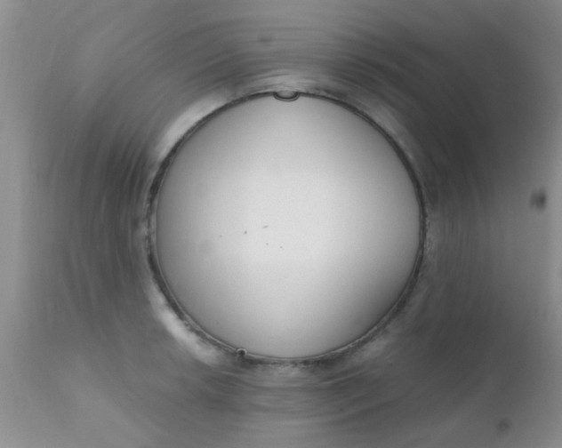 X0000110951042200907022152