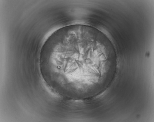 X0000110951043200907022152