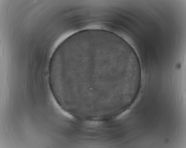 X0000110951045200907022152