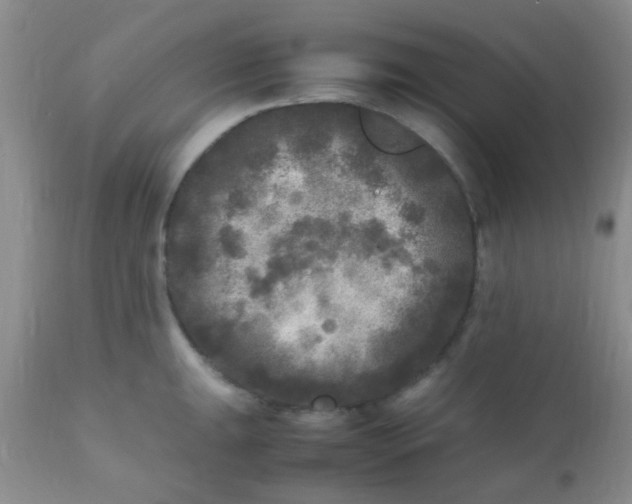 X0000110951047200907022152