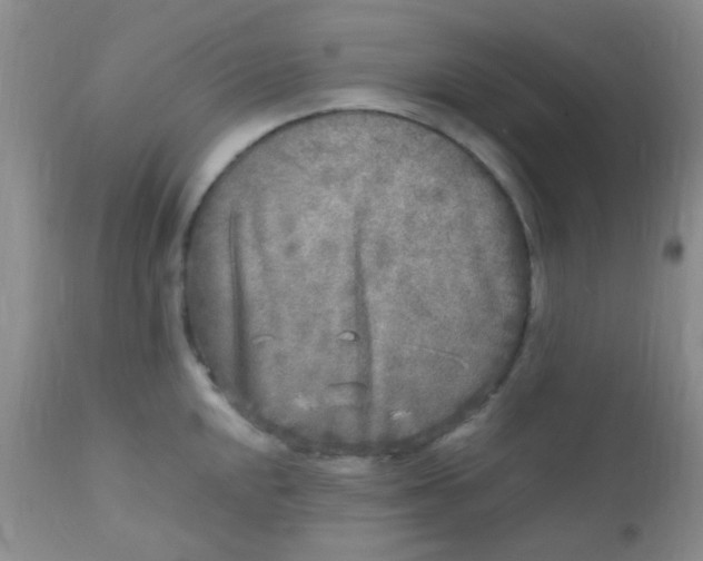 X0000110951048200907022152