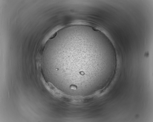 X0000110951049200907022152