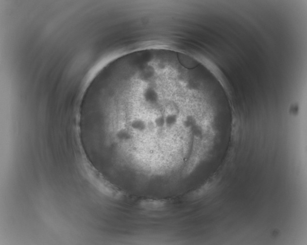 X0000110951051200907022152