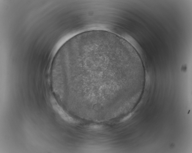 X0000110951052200907022152