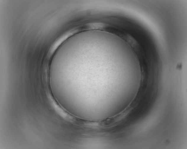 X0000110951054200907022152