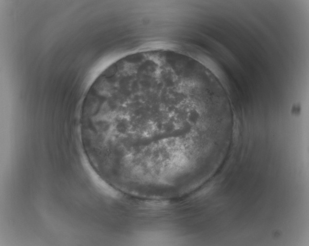 X0000110951055200907022152