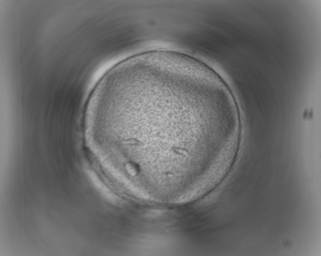 X0000110951056200907022152