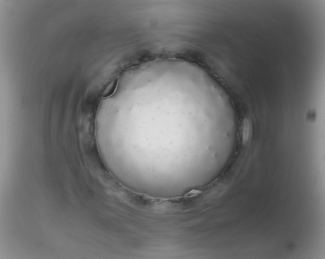 X0000110951059200907022152