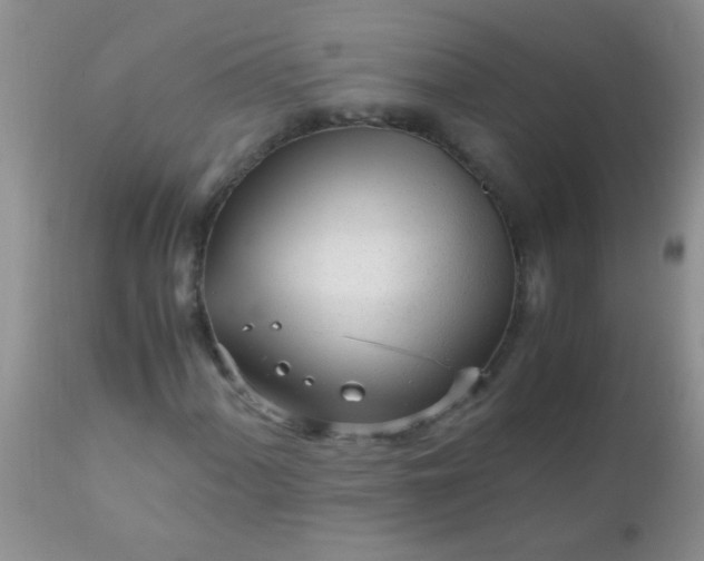 X0000110951060200907022152