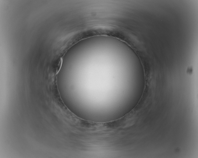 X0000110951061200907022152