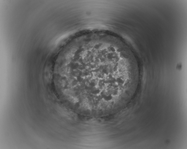 X0000110951063200907022152