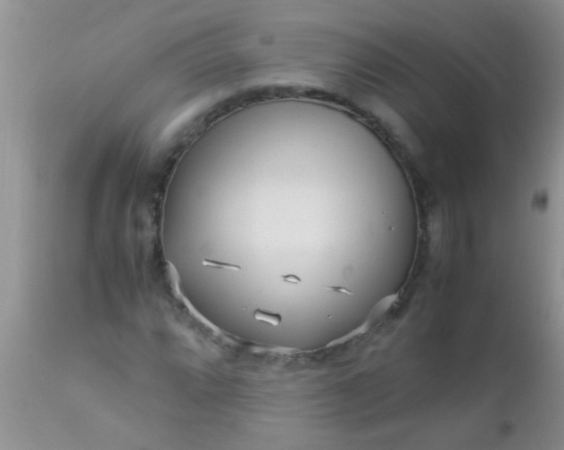 X0000110951064200907022152