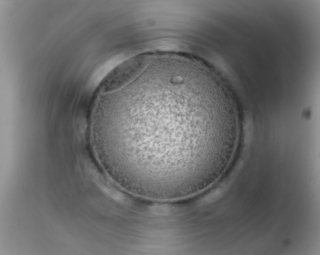 X0000110951065200907022151