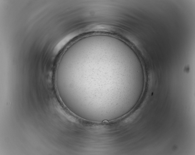 X0000110951066200907022151