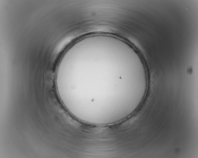 X0000110951067200907022151