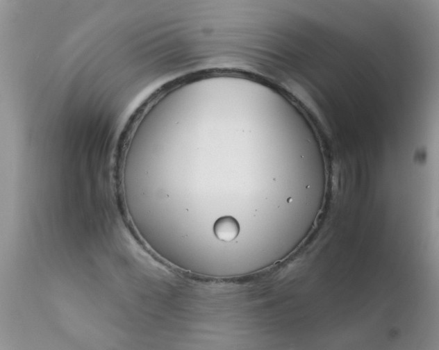 X0000110951068200907022151