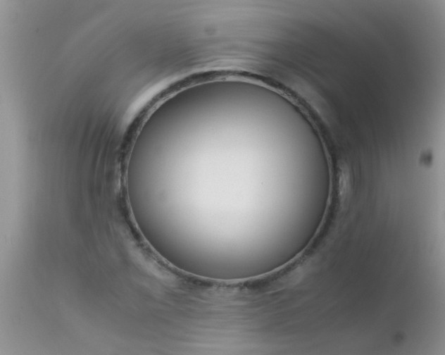 X0000110951069200907022151