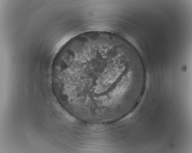 X0000110951071200907022151