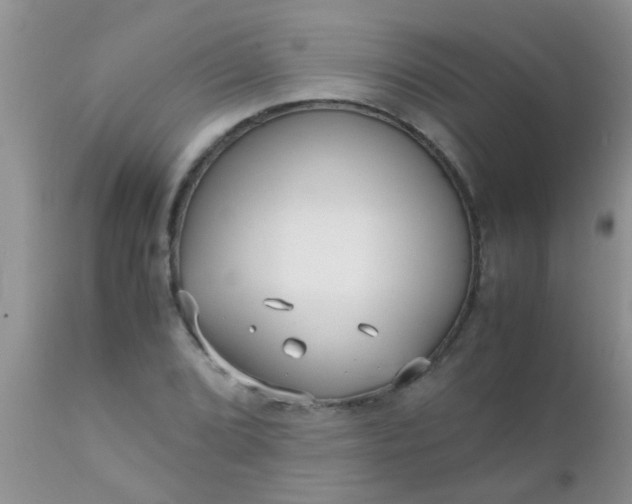 X0000110951072200907022151