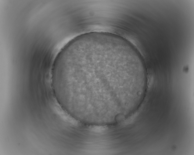 X0000110951074200907022151