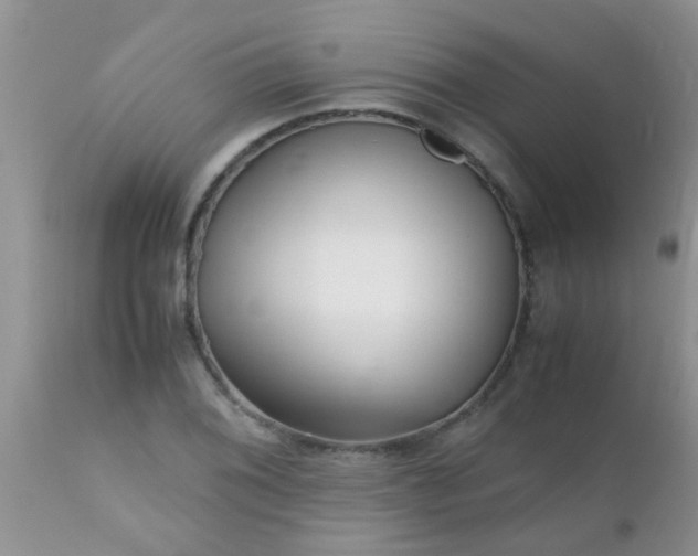 X0000110951076200907022151