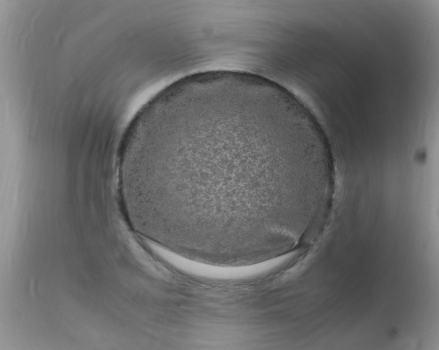 X0000110951077200907022151