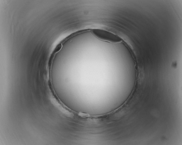 X0000110951080200907022151