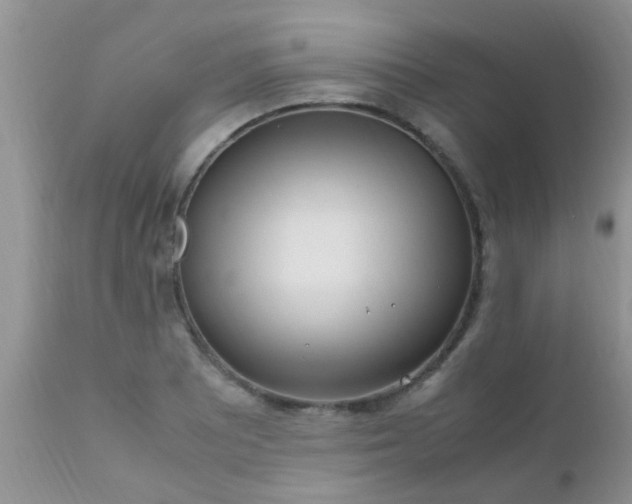 X0000110951081200907022151