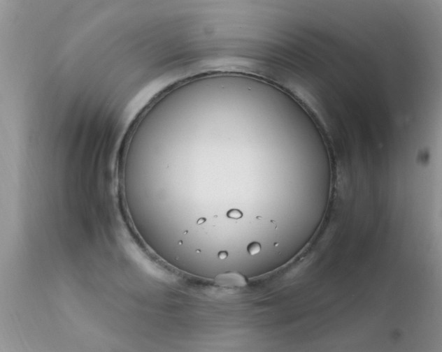 X0000110951082200907022151