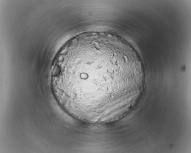 X0000110951083200907022151