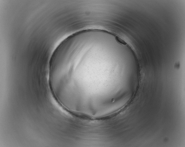 X0000110951084200907022151