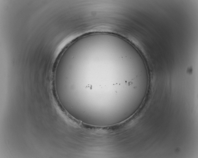 X0000110951085200907022151