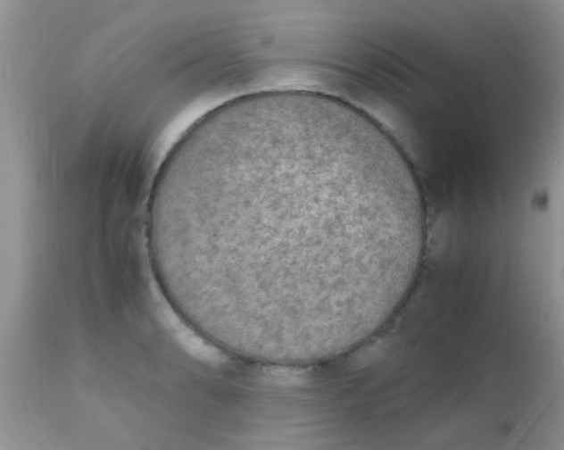 X0000110951086200907022151