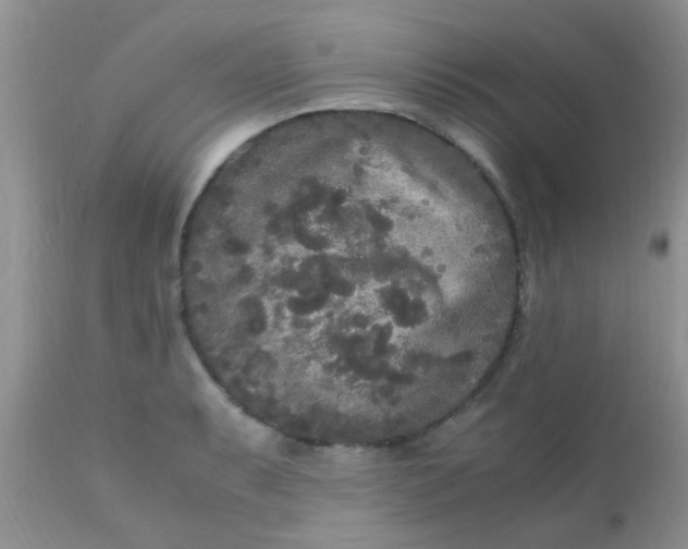 X0000110951087200907022151