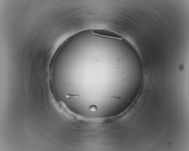 X0000110951088200907022151